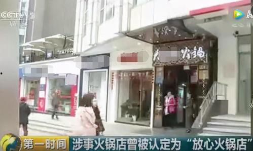 火锅店最新爆料视频播放,火辣美食背后的秘密大公开！